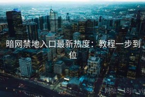暗网禁地入口最新热度：教程一步到位