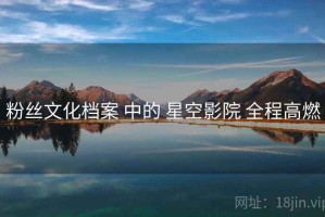粉丝文化档案 中的 星空影院 全程高燃