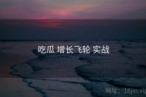 吃瓜 增长飞轮 实战