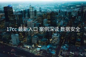 17cc 最新入口 案例深读 数据安全