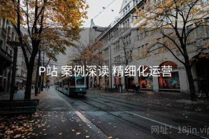P站 案例深读 精细化运营