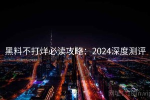 黑料不打烊必读攻略：2024深度测评