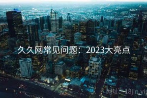 久久网常见问题：2023大亮点