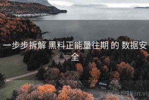 一步步拆解 黑料正能量往期 的 数据安全