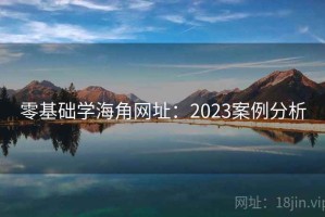 零基础学海角网址：2023案例分析