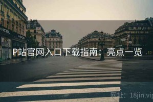 P站官网入口下载指南：亮点一览