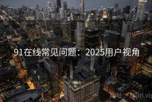 91在线常见问题：2025用户视角