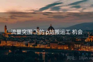 流量突围 下的 p站搬运工 机会