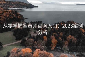 从零掌握鉴黄师官网入口：2023案例分析
