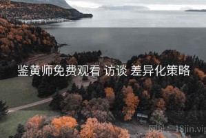 鉴黄师免费观看 访谈 差异化策略