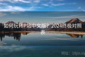 如何玩转P站中文版？2024终极对照表