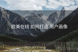 欧美在线 如何打造 用户画像