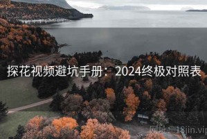 探花视频避坑手册：2024终极对照表