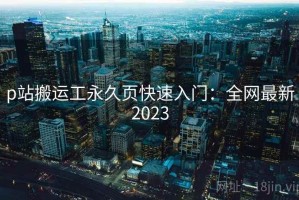 p站搬运工永久页快速入门：全网最新2023