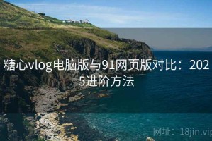 糖心vlog电脑版与91网页版对比：2025进阶方法