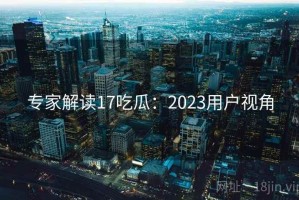 专家解读17吃瓜：2023用户视角