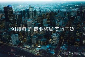 91爆料 的 商业格局 实战干货