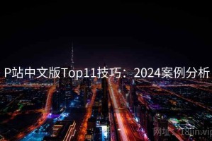 P站中文版Top11技巧：2024案例分析