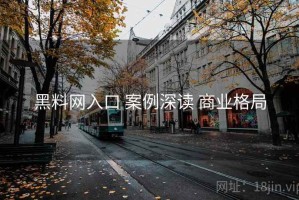 黑料网入口 案例深读 商业格局