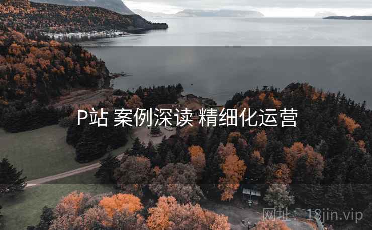 P站 案例深读 精细化运营
