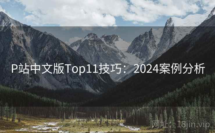 P站中文版Top11技巧:2024案例分析 P站中文版Top11技巧:2024案例分析