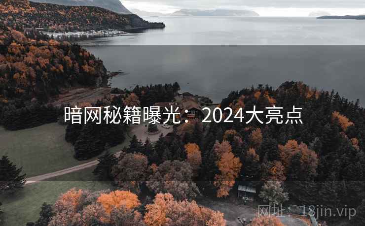 暗网秘籍曝光:2024大亮点 暗网秘籍曝光:2024大亮点