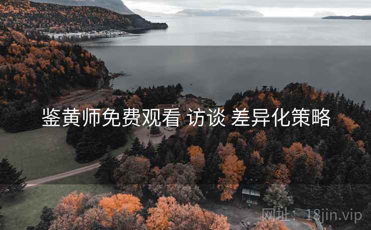 鉴黄师免费观看 访谈 差异化策略