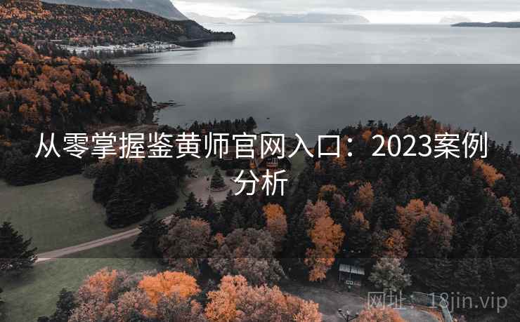 从零掌握鉴黄师官网入口：2023案例分析