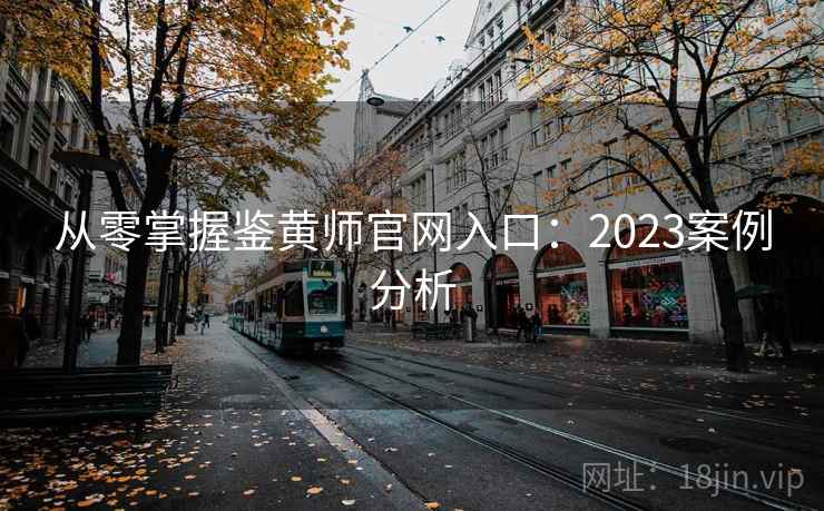 从零掌握鉴黄师官网入口：2023案例分析
