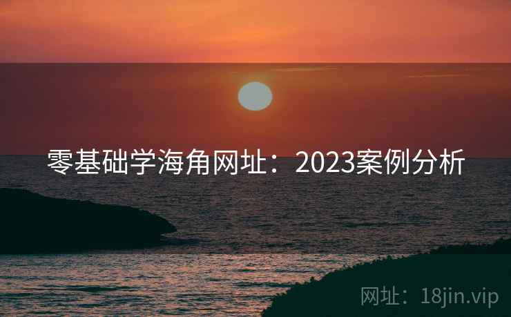 零基础学海角网址：2023案例分析
