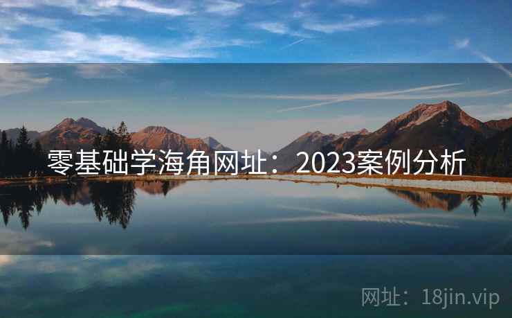 零基础学海角网址：2023案例分析